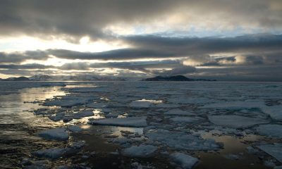 Floating ice at dawn, Spitsbergen, Svalbard, Norway.